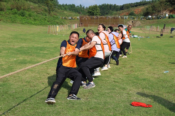 1601433533552958.jpg IMG_4284.JPG