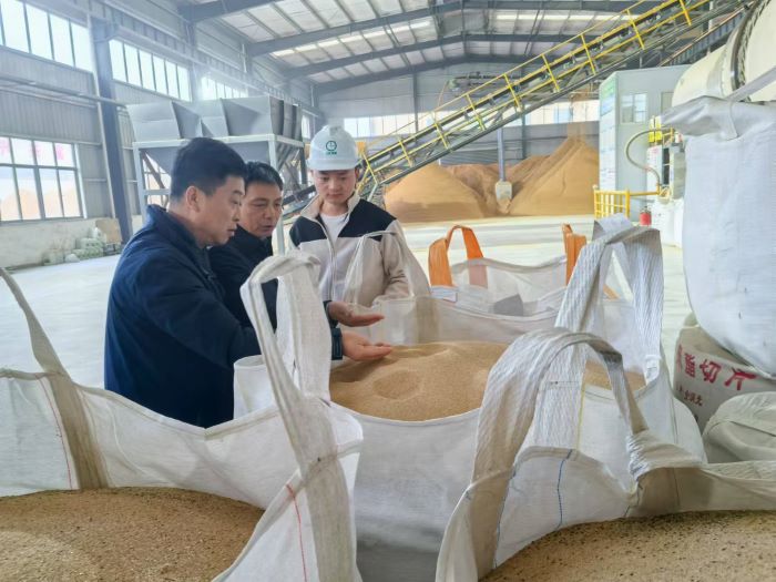 1734589717691917.jpg 1.jpg